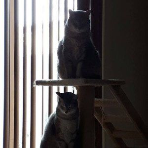 Meet your Posher, Terrie-lynn